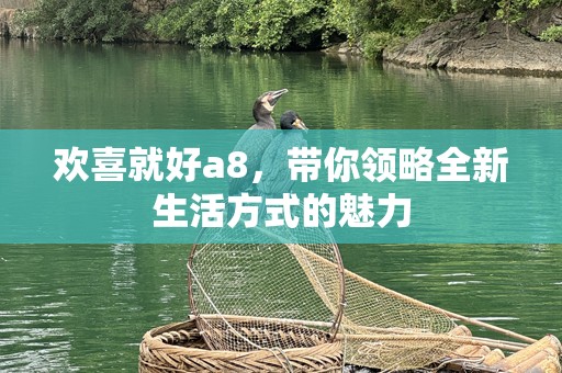 欢喜就好a8，带你领略全新生活方式的魅力