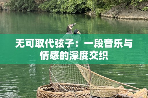 无可取代弦子：一段音乐与情感的深度交织