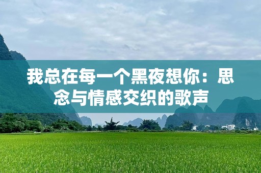 我总在每一个黑夜想你：思念与情感交织的歌声