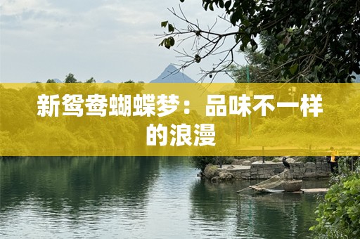 新鸳鸯蝴蝶梦：品味不一样的浪漫