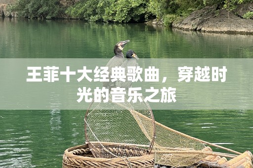 王菲十大经典歌曲，穿越时光的音乐之旅
