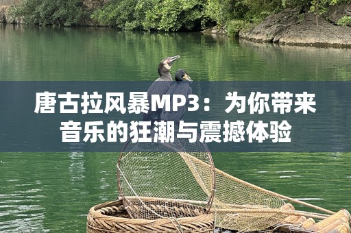 唐古拉风暴MP3：为你带来音乐的狂潮与震撼体验