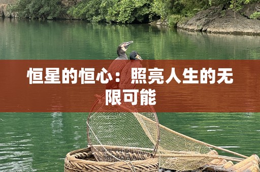 恒星的恒心：照亮人生的无限可能