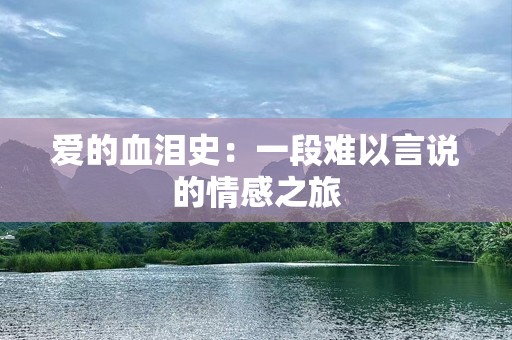 爱的血泪史：一段难以言说的情感之旅