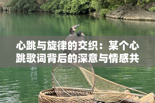 心跳与旋律的交织：某个心跳歌词背后的深意与情感共鸣