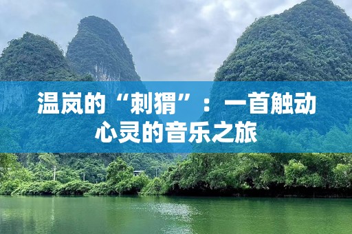 温岚的“刺猬”：一首触动心灵的音乐之旅