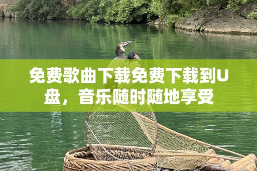 免费歌曲下载免费下载到U盘，音乐随时随地享受