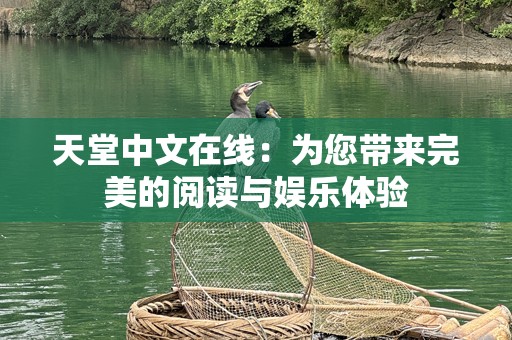 天堂中文在线：为您带来完美的阅读与娱乐体验