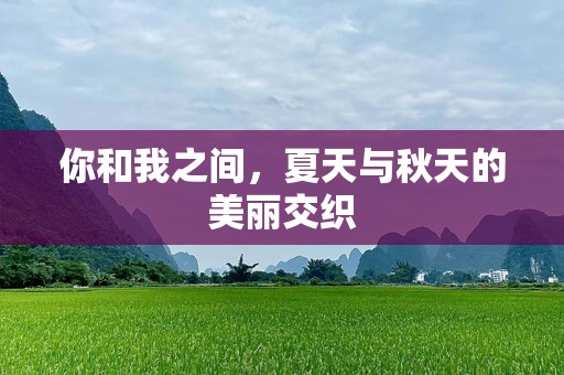 你和我之间，夏天与秋天的美丽交织