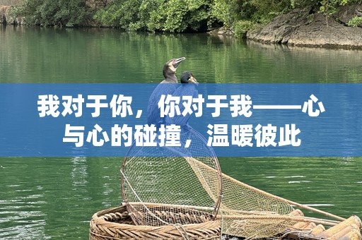 我对于你，你对于我——心与心的碰撞，温暖彼此