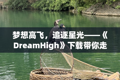 梦想高飞，追逐星光——《DreamHigh》下载带你走进青春的旋律