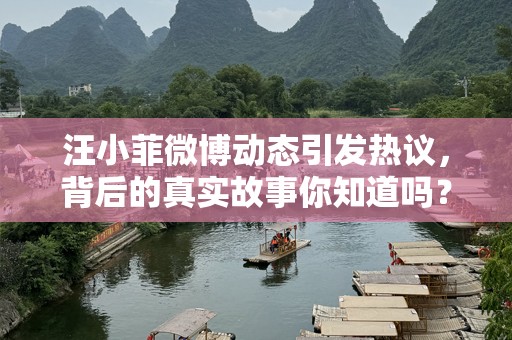 汪小菲微博动态引发热议，背后的真实故事你知道吗？