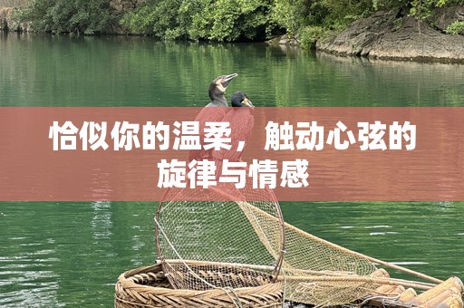 恰似你的温柔，触动心弦的旋律与情感