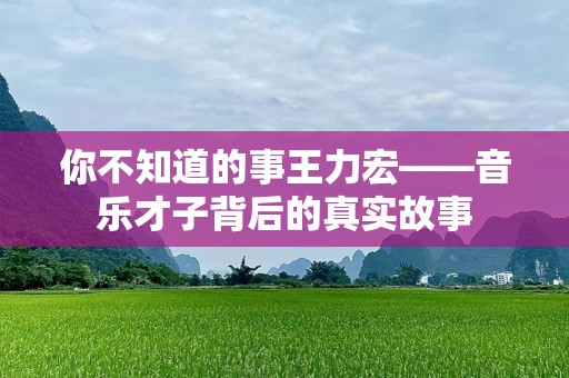 你不知道的事王力宏——音乐才子背后的真实故事