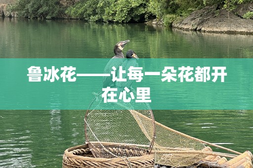 鲁冰花——让每一朵花都开在心里