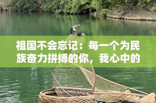 祖国不会忘记：每一个为民族奋力拼搏的你，我心中的英雄