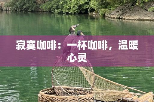 寂寞咖啡：一杯咖啡，温暖心灵