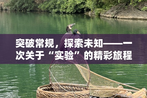 突破常规，探索未知——一次关于“实验”的精彩旅程