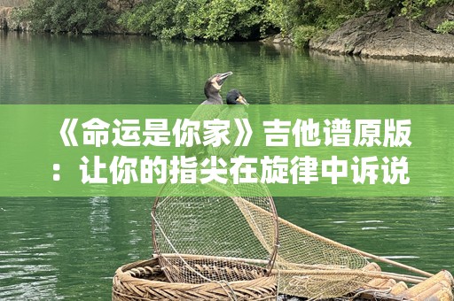 《命运是你家》吉他谱原版：让你的指尖在旋律中诉说命运的故事