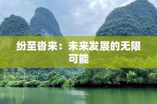 纷至沓来：未来发展的无限可能