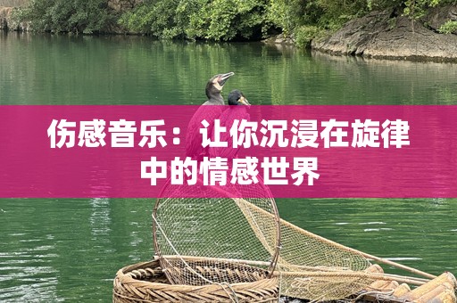 伤感音乐：让你沉浸在旋律中的情感世界