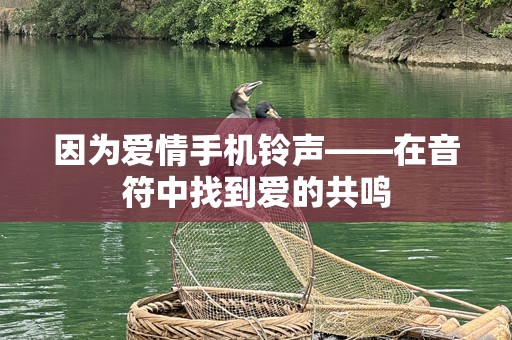 因为爱情***——在音符中找到爱的共鸣