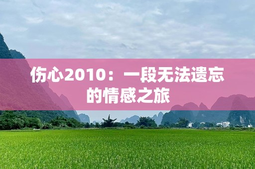 伤心2010：一段无法遗忘的情感之旅