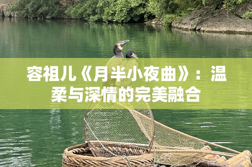 容祖儿《月半小夜曲》：温柔与深情的完美融合