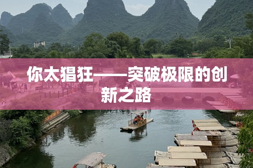 你太猖狂——突破极限的创新之路
