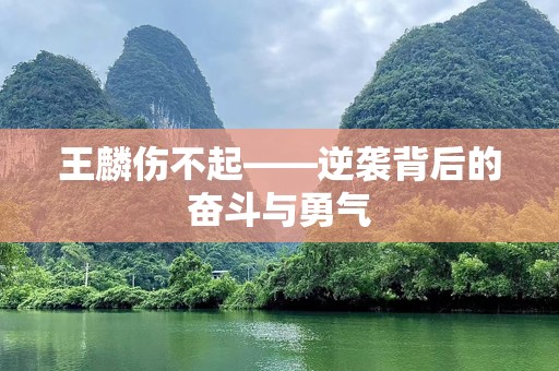 王麟伤不起——逆袭背后的奋斗与勇气