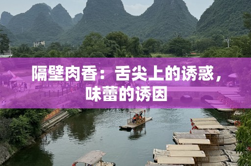 隔壁肉香：舌尖上的诱惑，味蕾的诱因