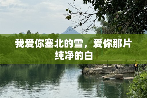 我爱你塞北的雪，爱你那片纯净的白