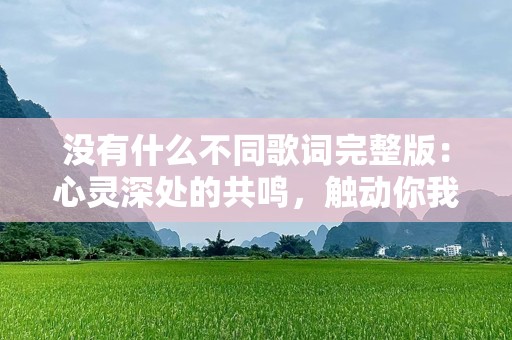没有什么不同歌词完整版：心灵深处的共鸣，触动你我