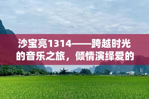 沙宝亮1314——跨越时光的音乐之旅，倾情演绎爱的永恒誓言
