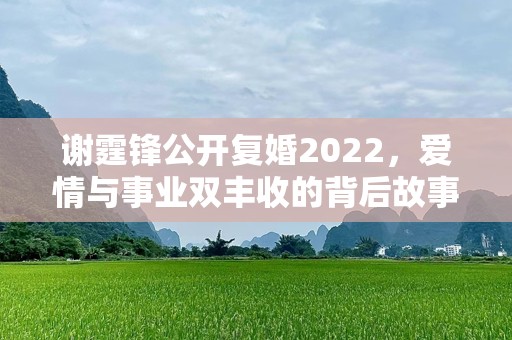 谢霆锋公开复婚2022，爱情与事业双丰收的背后故事