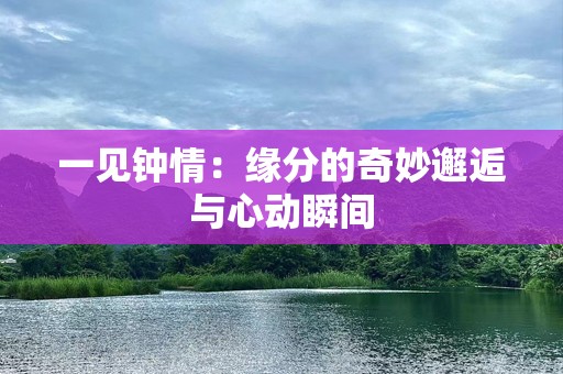 一见钟情：缘分的奇妙邂逅与心动瞬间