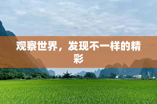 观察世界，发现不一样的精彩
