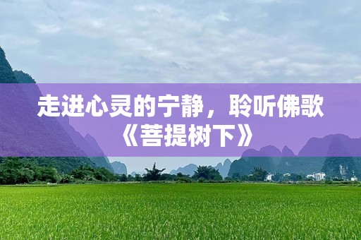 走进心灵的宁静，聆听佛歌《菩提树下》