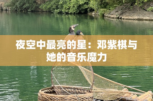 夜空中最亮的星：邓紫棋与她的音乐魔力