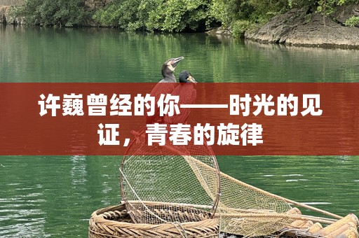 许巍曾经的你——时光的见证，青春的旋律