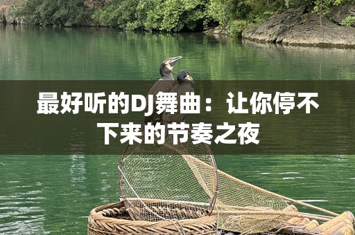 最好听的DJ舞曲：让你停不下来的节奏之夜
