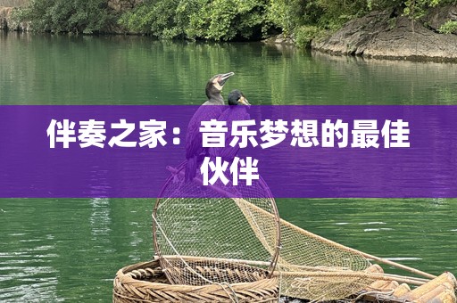 伴奏之家：音乐梦想的最佳伙伴