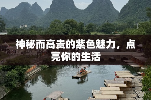 神秘而高贵的紫色魅力，点亮你的生活