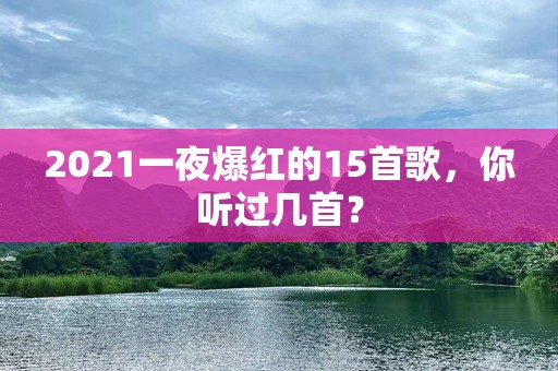 2021一夜爆红的15首歌，你听过几首？