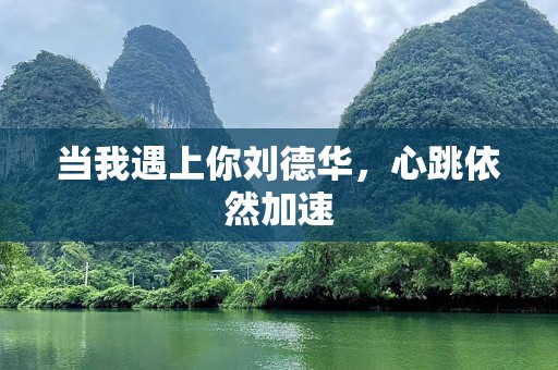 当我遇上你刘德华，心跳依然加速