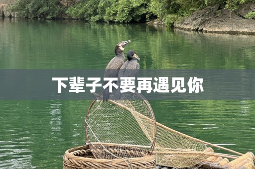 下辈子不要再遇见你