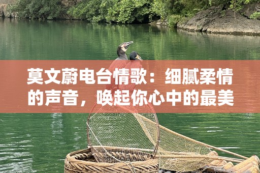 莫文蔚电台情歌：细腻柔情的声音，唤起你心中的最美回忆