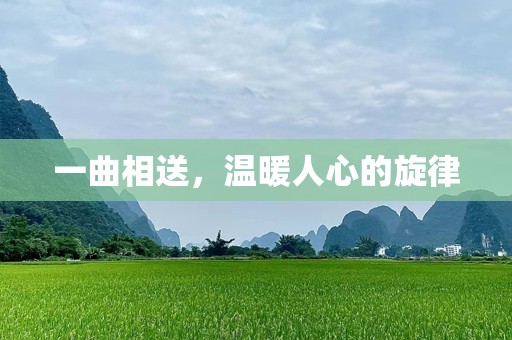 一曲相送，温暖人心的旋律