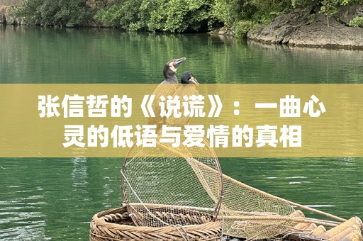 张信哲的《说谎》：一曲心灵的低语与爱情的真相