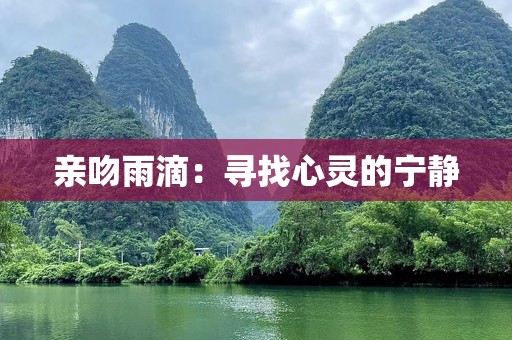 亲吻雨滴：寻找心灵的宁静